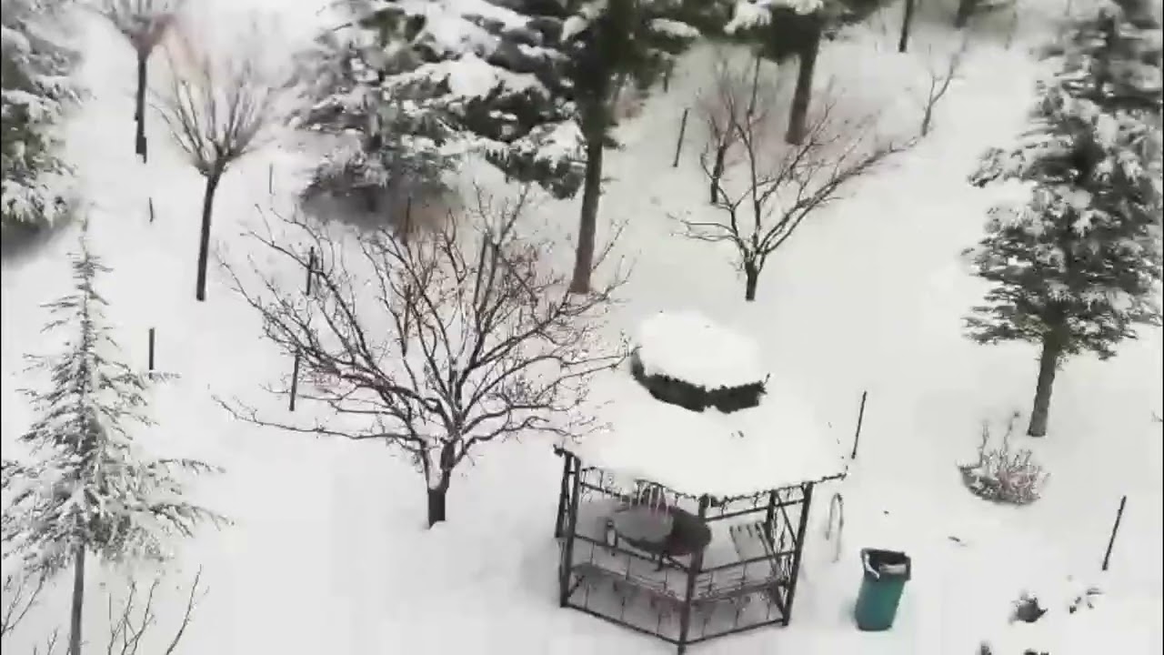 Doğa videosu. Kara kış manzarası #keşfet #doğa #snow