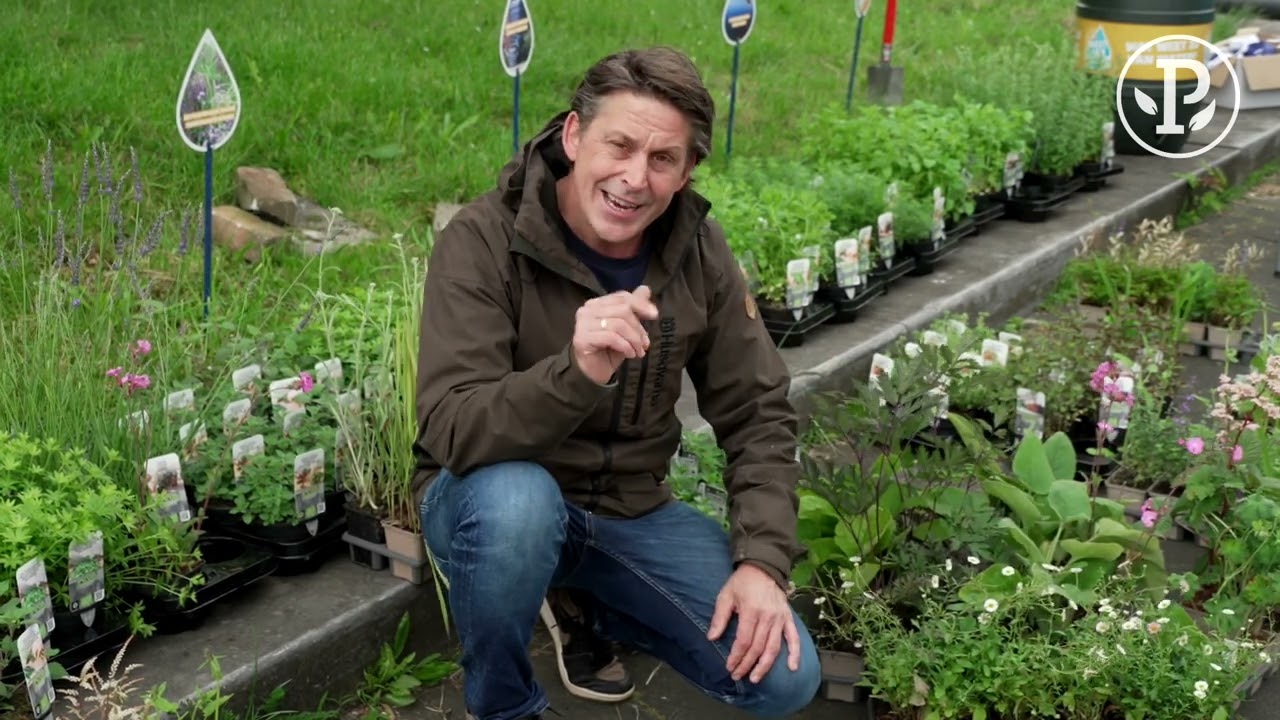 VERGROENEN