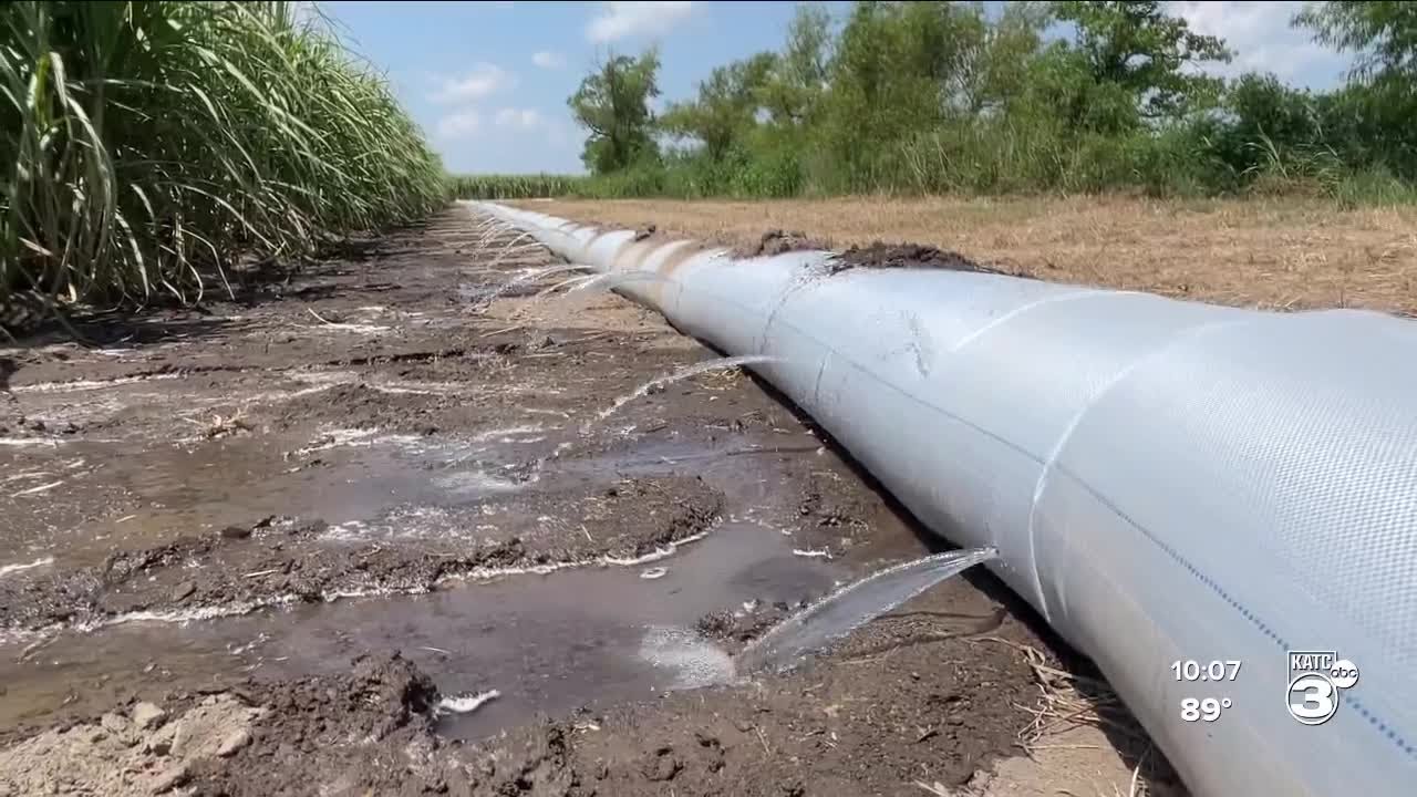 Sugar cane farmers using wells to irrigate due to the drought