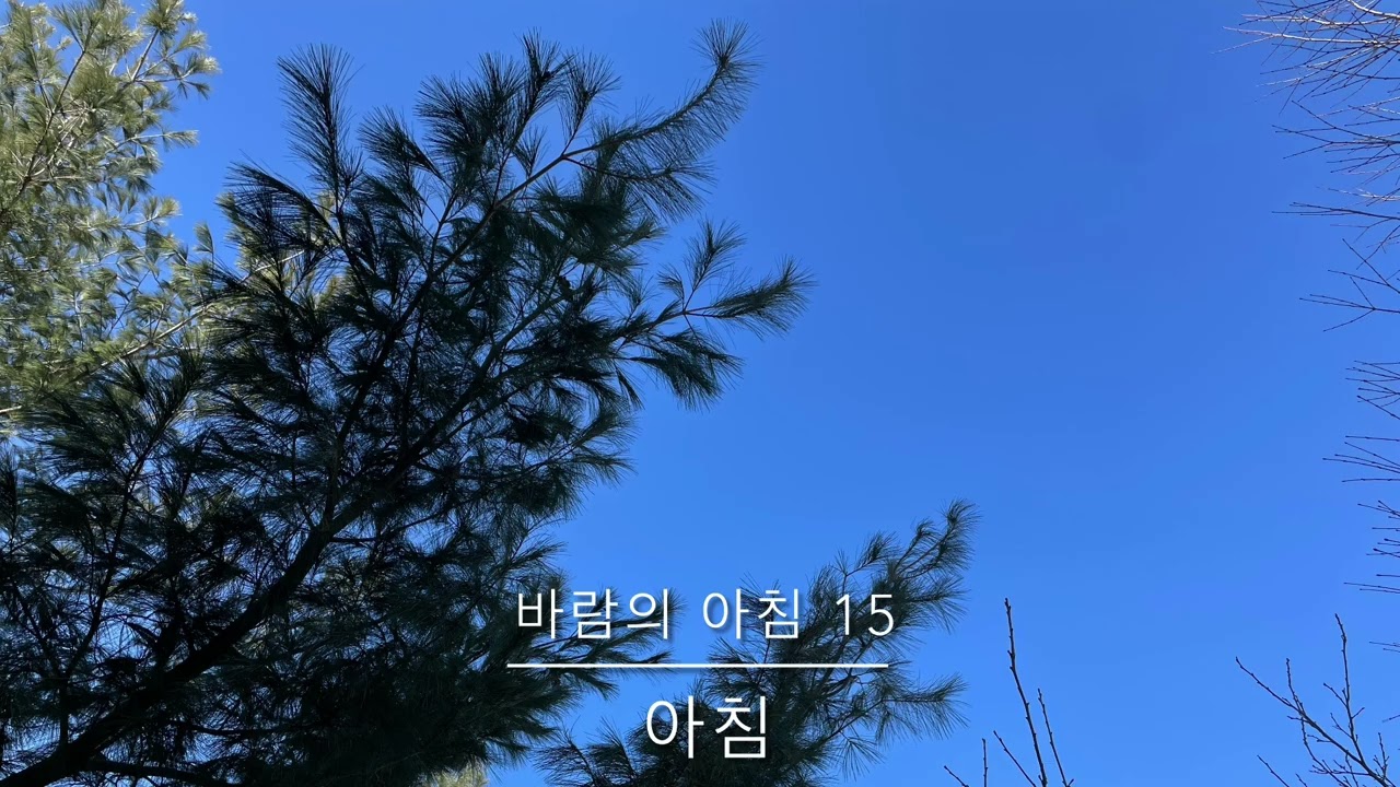 바람의 아침 15 - 설날아침