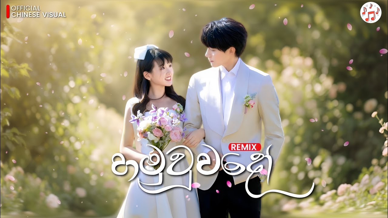 Hamuwuwado (හමුවූවාදෝ) Remix | Iman Fernando | Chinese mix Sinhala |