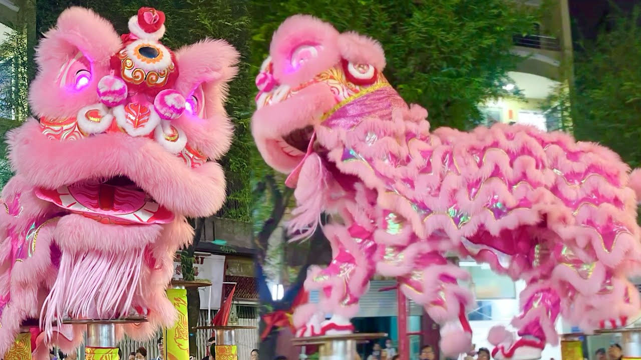 Lân Hồng Đẹp Nhất Tết 2026 Nhảy Mai Hoa Thung Hay Nhất - LSR Phương Tế Đường