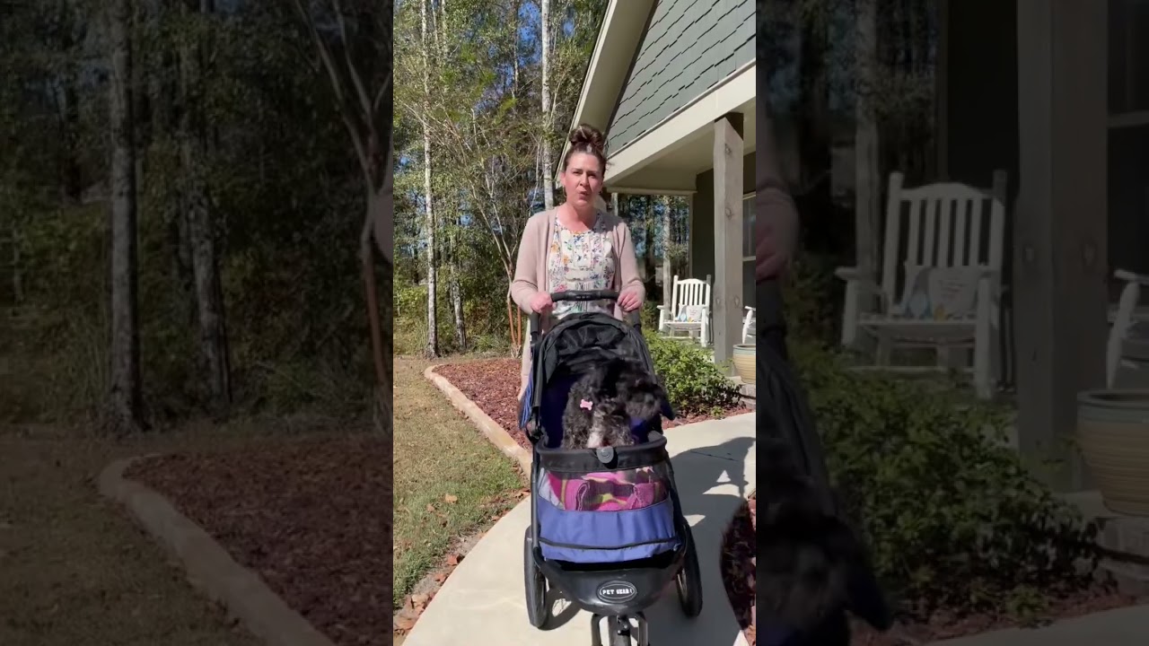Best dog stroller #dogstroller #dogs