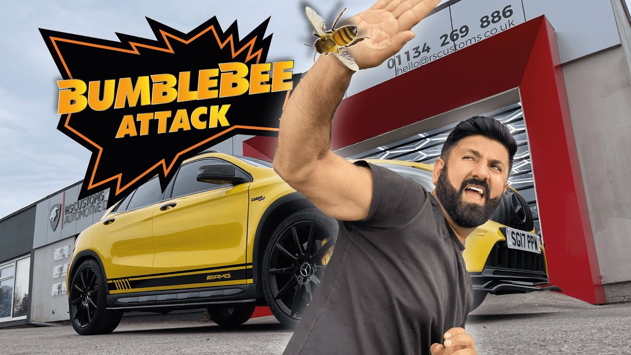 Karim Gets Stung By A Bee
