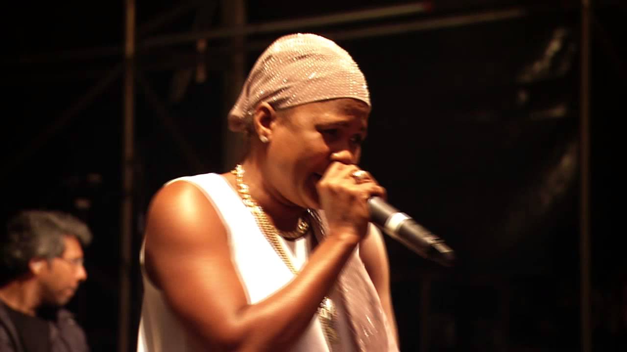 Lady Saw - Sycamore Tree / Healing / Hot Gal Medley (Live at BoomTown Fair 2014)