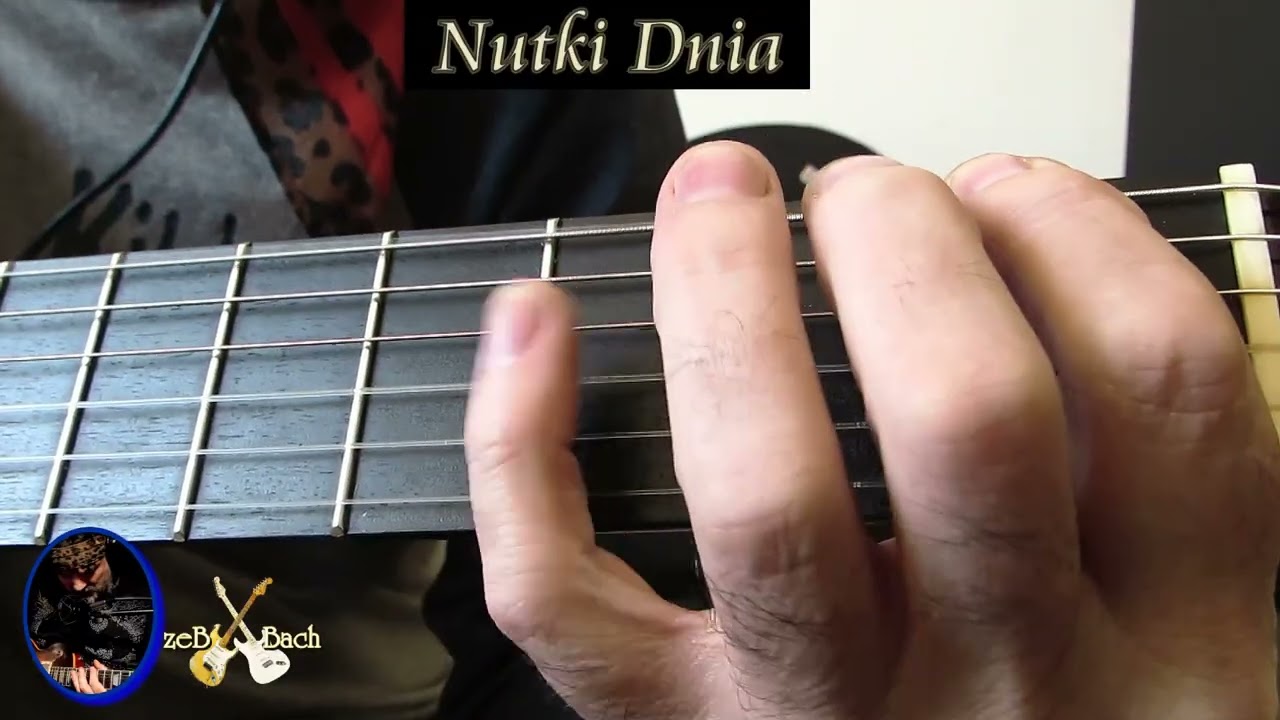 Gitara@zebbach -Nutki dnia