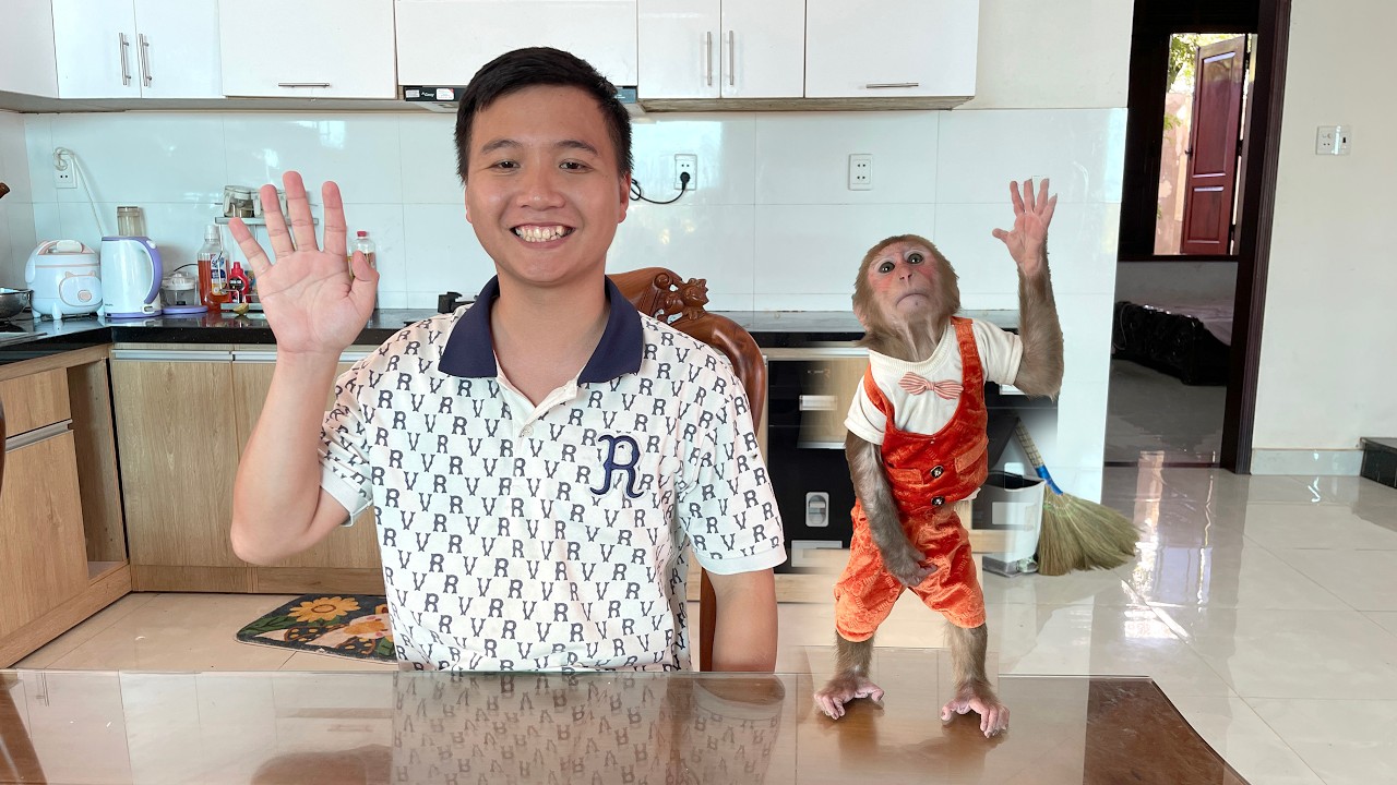 Big Surprise! Special Announcement from CUBIS&rsquo;s Family!