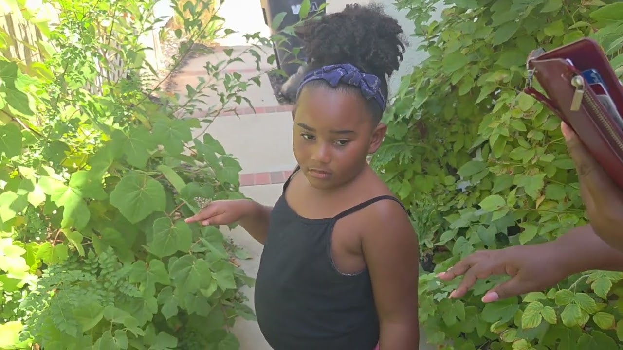 🦋Life Cycle of a Butterfly🦋