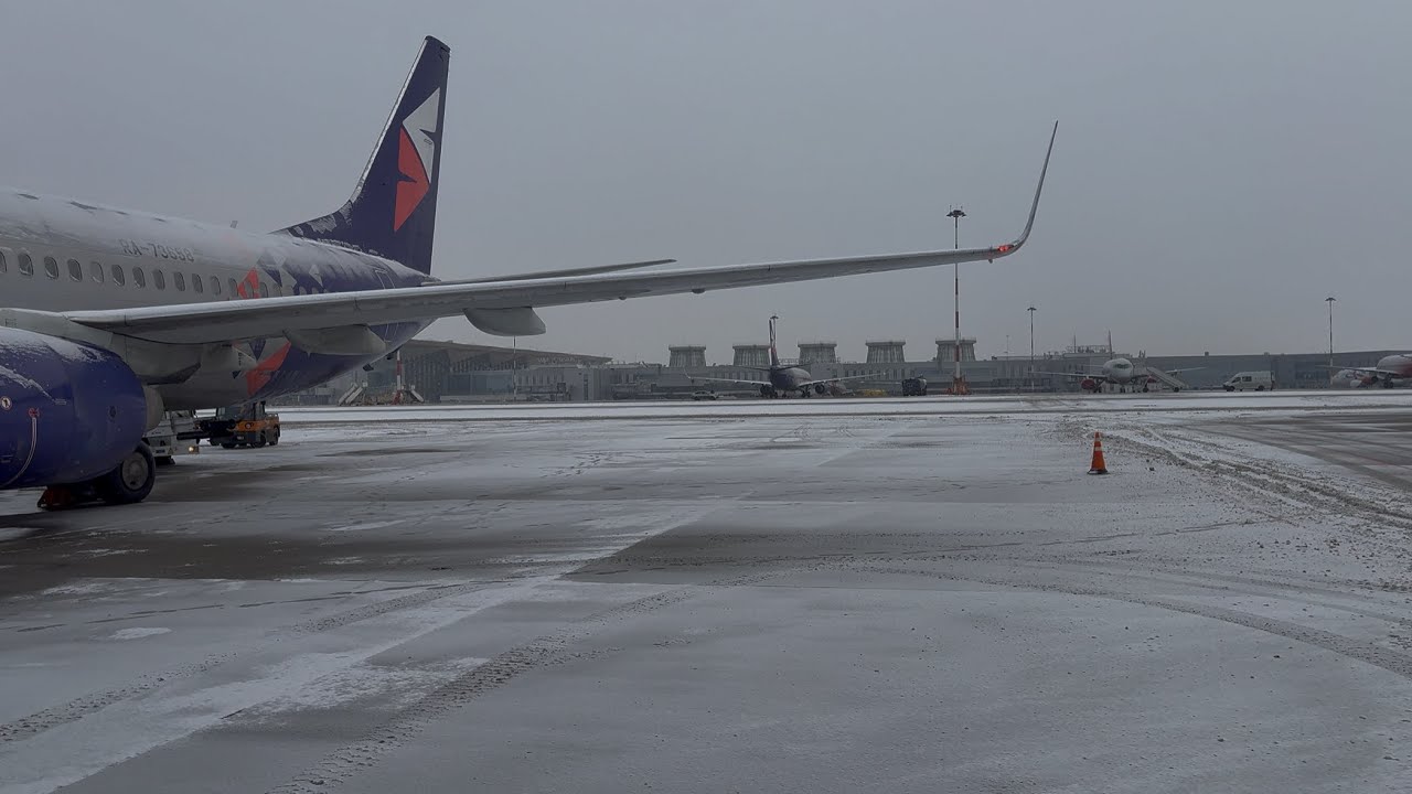 Перелет на Boeing 737-800 Smartavia | Санкт-Петербург - Калининград 