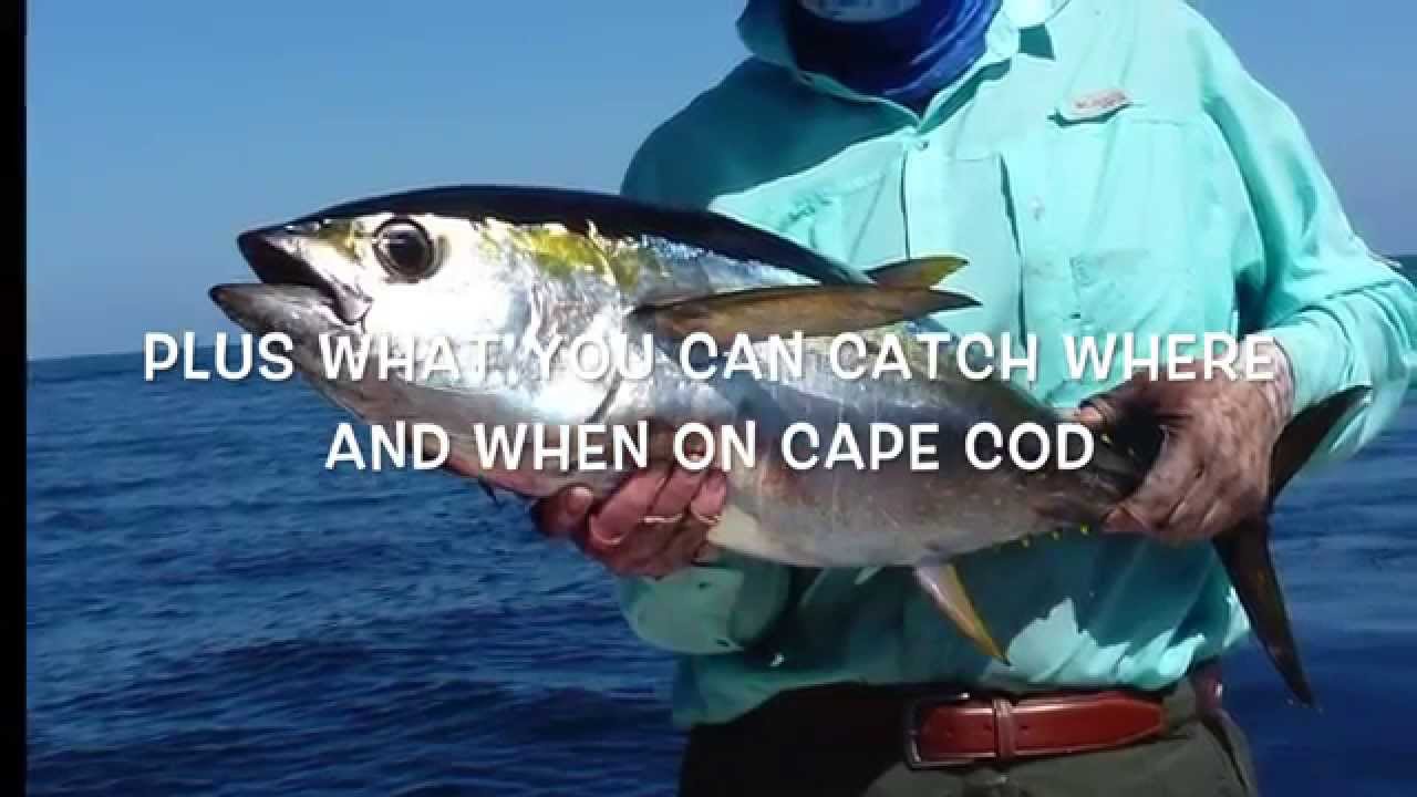 Saltwater Fly Fishing Cape Cod Presentation Trailer for the Buzzards Bay Anglers Club