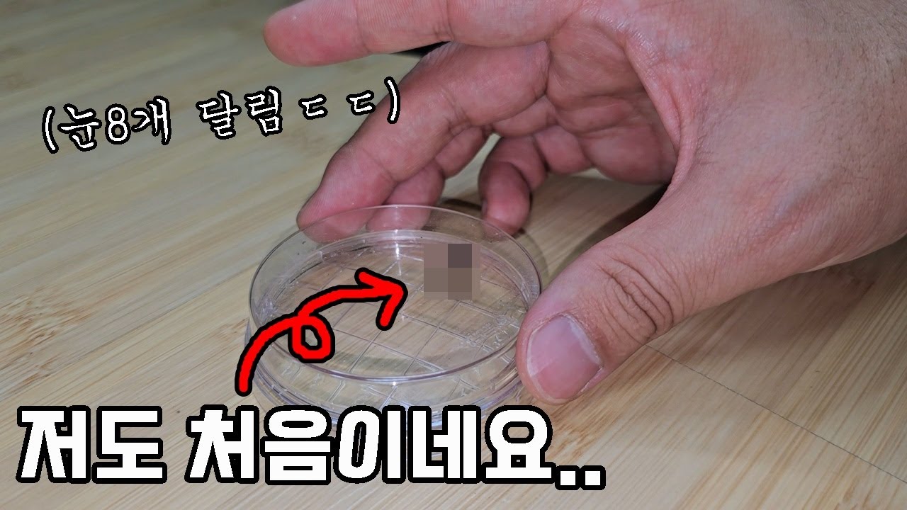 집으로 들어온 귀여운 의문의 생물!! 반전 결말이라 마음이 아픕니다..ㅠㅠ