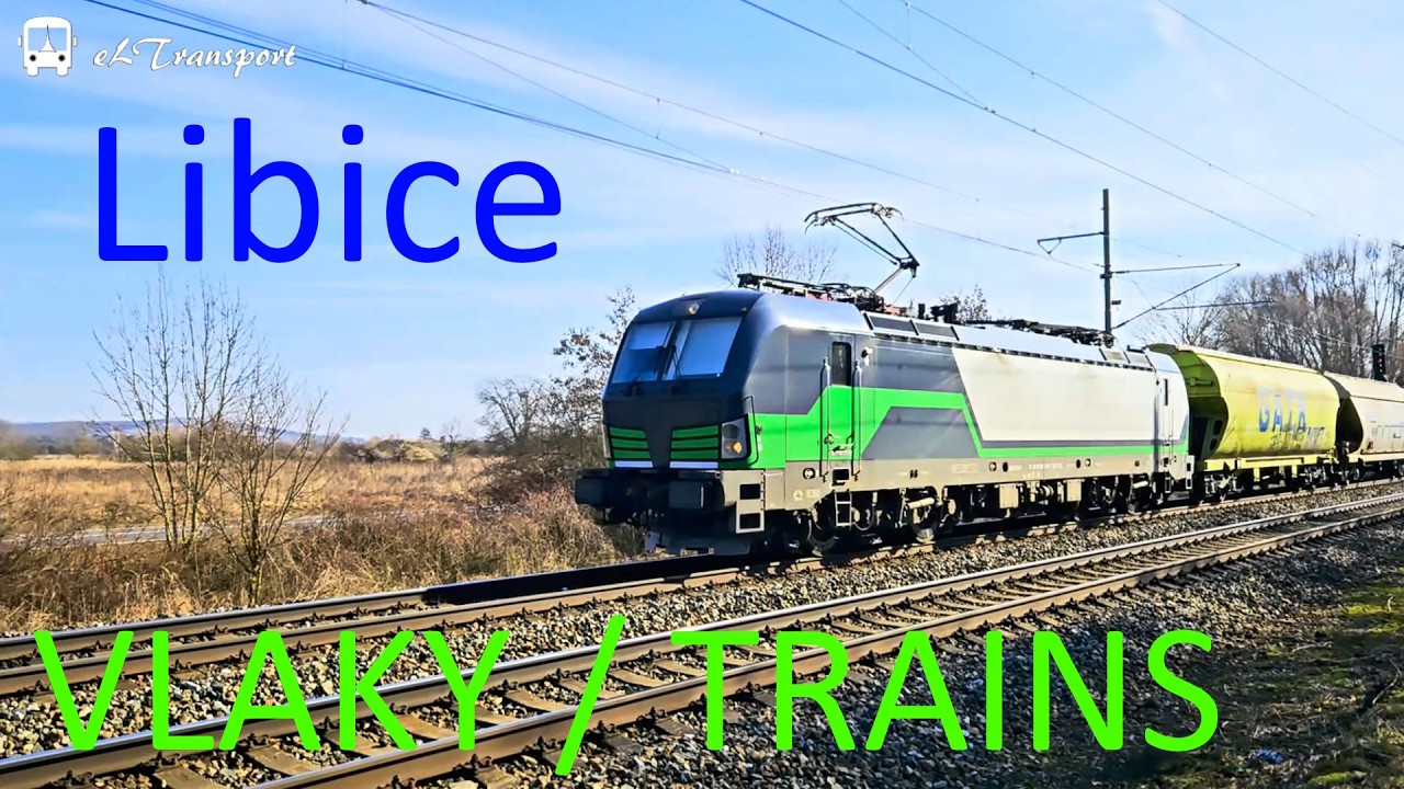 Trains #26 | Vlaky - Libice nad Cidlinou | 2/2026