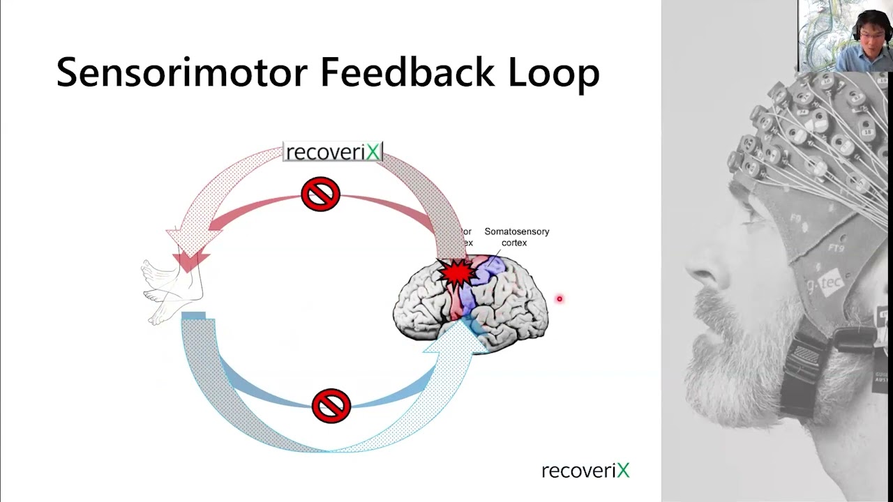 Spring School 2024: Lower limb stroke rehabilitation with recoveriX