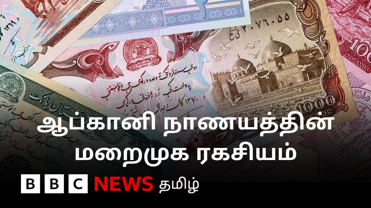நாணயத்தை வலுவடையச் செய்ய தாலிபன் அரசு செய்யும் உத்தி - உண்மை நிலவரம் இதுதானா?