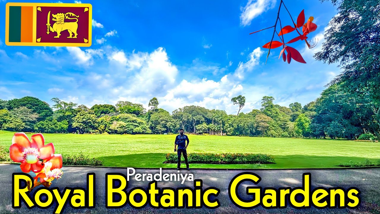 The Royal Botanic Gardens, Paradeniya , Kandy ( SRI LANKA ) 🇱🇰 - A Traveller's Memoirs