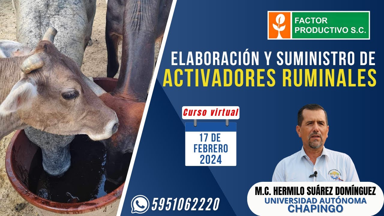 CURSO: ELABORACIÓN Y SUMINISTRO DE ACTIVADORES RUMINALES