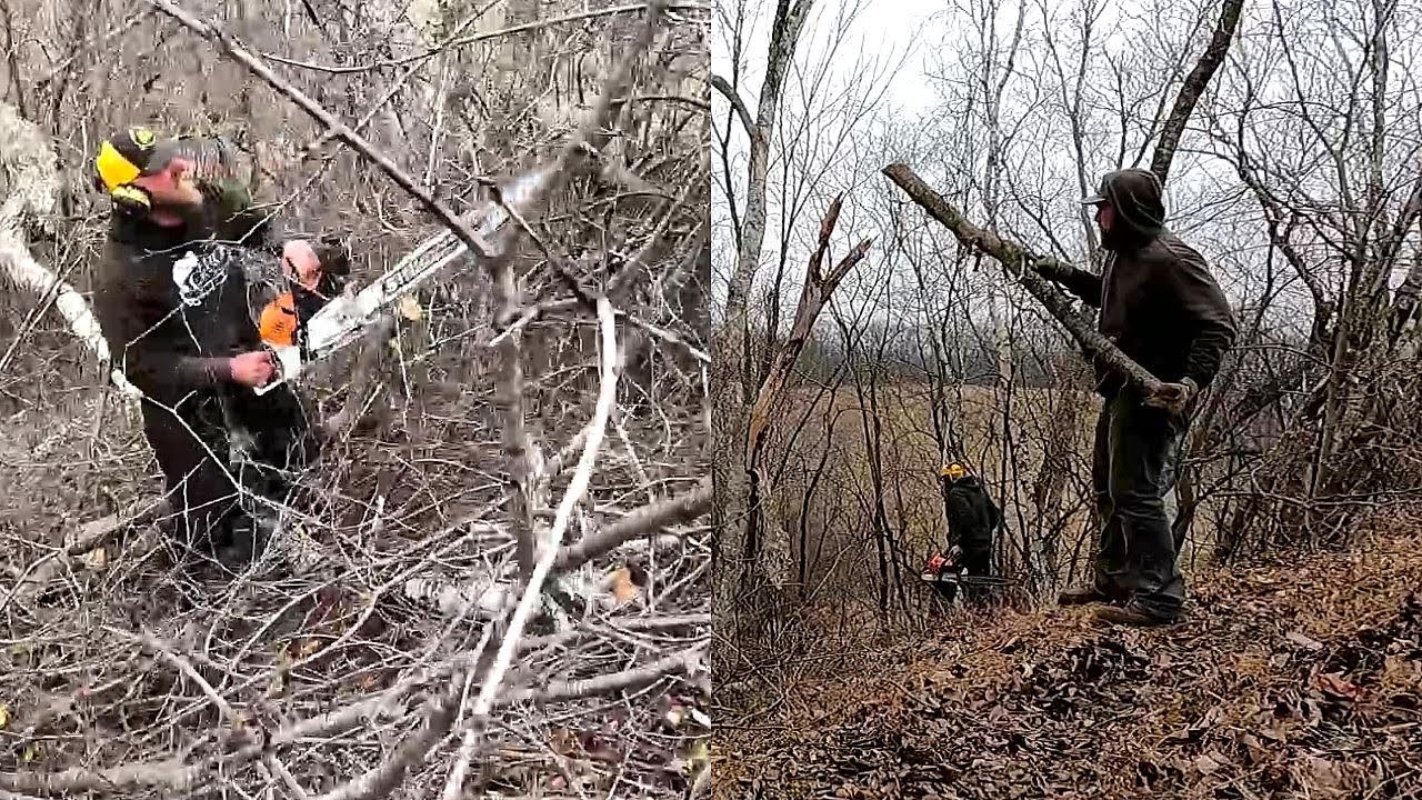 Clearing Land For Pasture! Farm Improvements Projects!