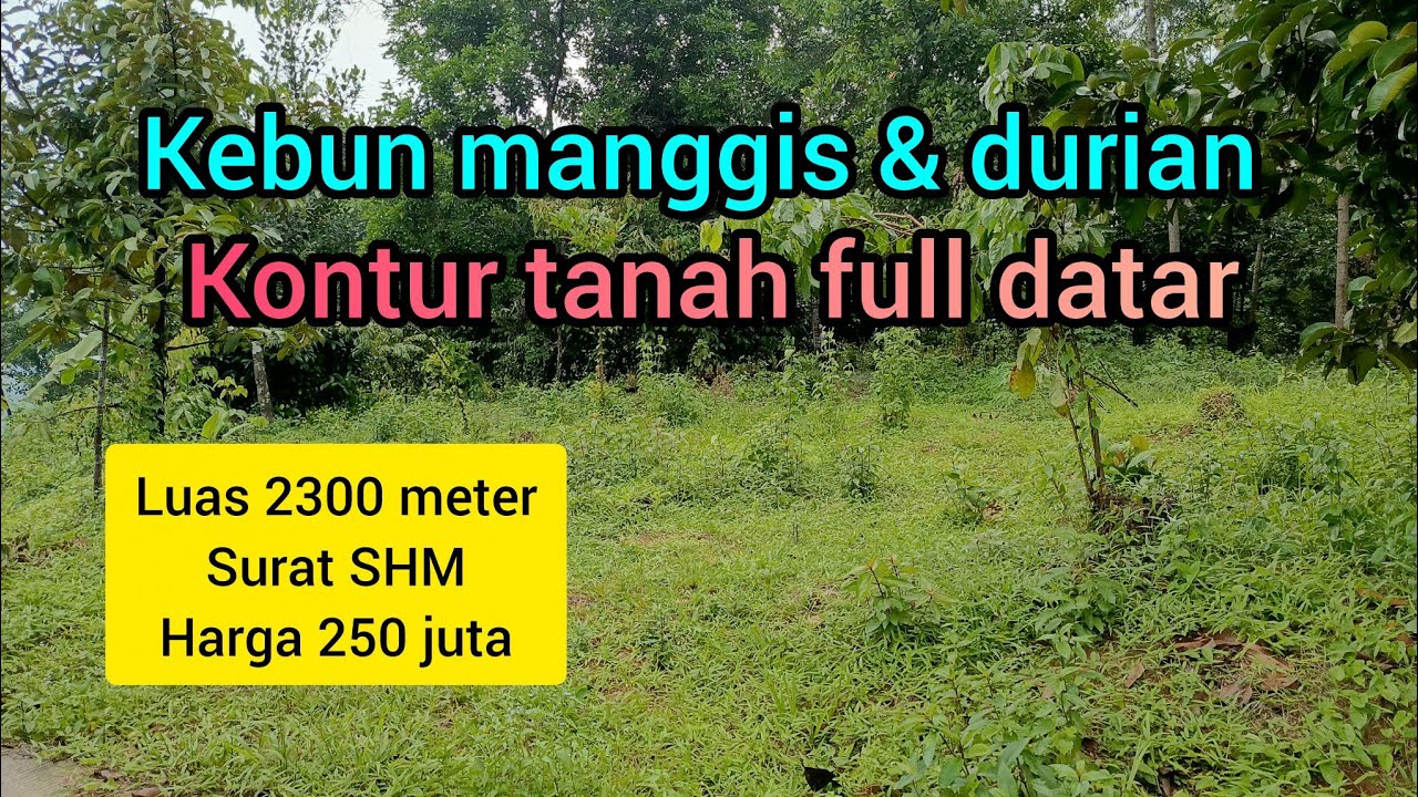 Dijual tanah kebun manggis & Durian akses mobil tanah full datar dekat permukiman warga