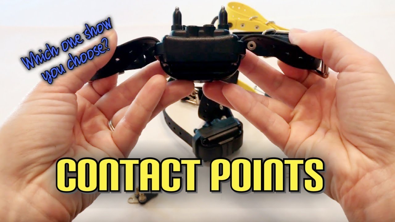 Contact Points and Comfort Pad Options for the Mini Educator 300 and EZ Educator 900 E-Collars