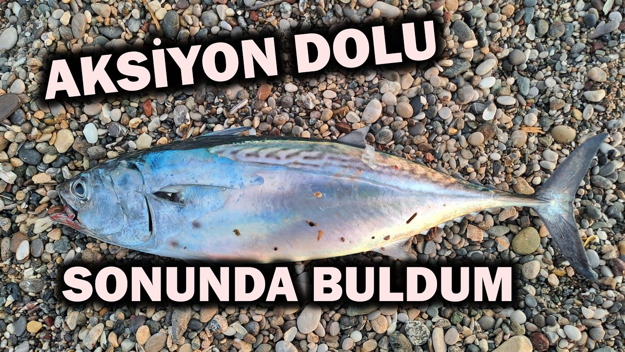 Fethiye Atçek Balık Avı Aksiyon Dolu Jig Avı