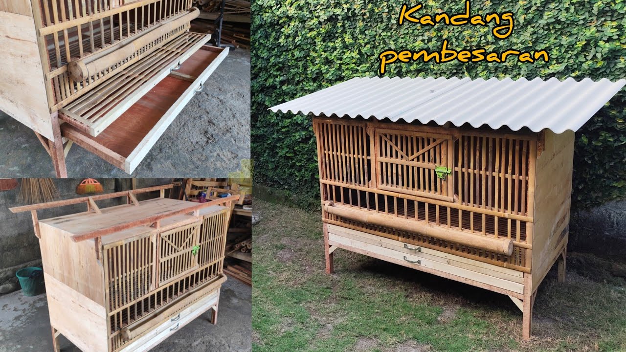  Membuat kandang pembesaran anak ayam untuk di luar ruangan