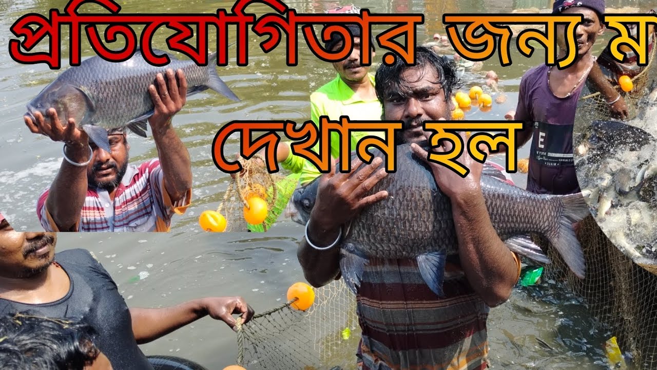 পন্যাশ্রী সদার পুকুরে যে কম্পিটিশন হতে চলেছে তার জন্য মাছ দেখানো হলো।। 