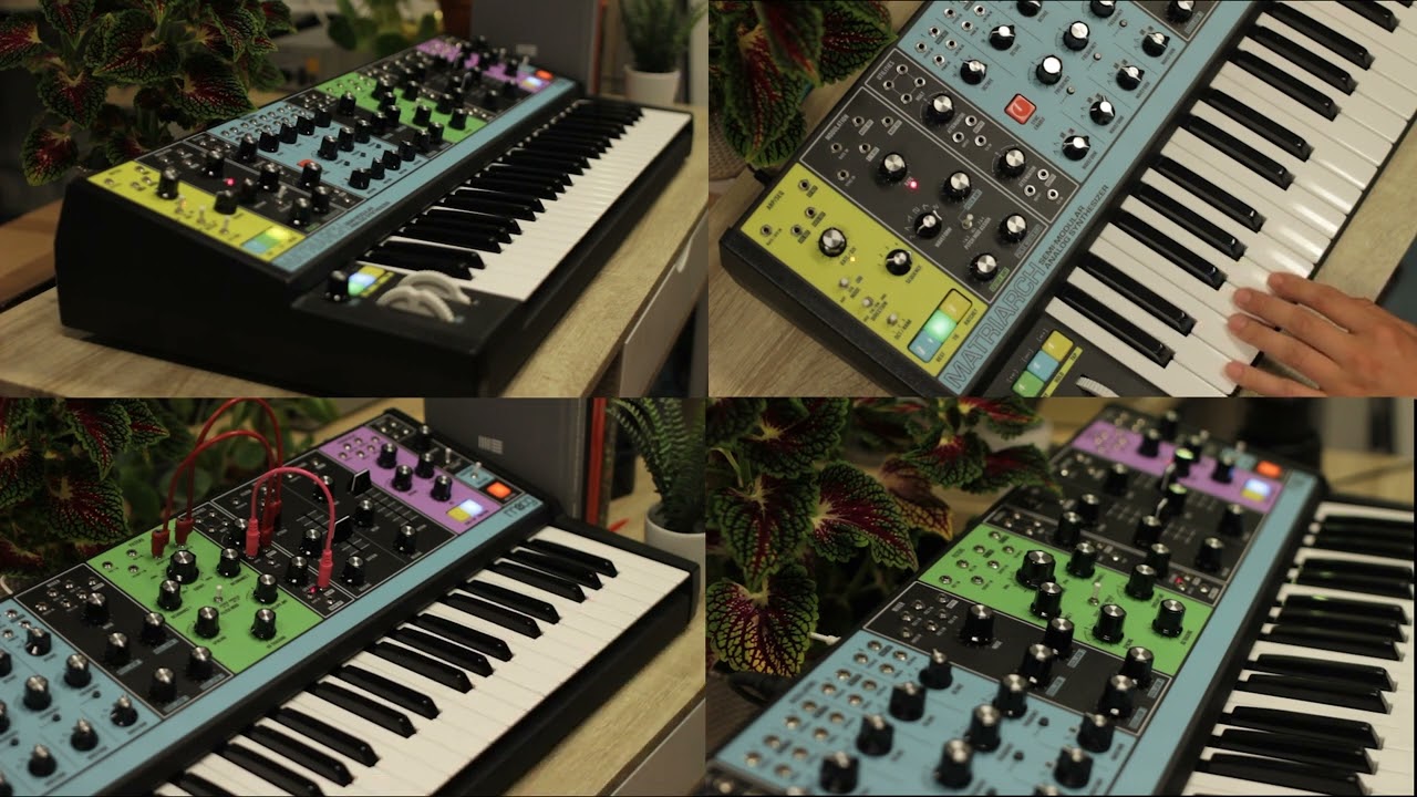 Moog Matriarch Explorations