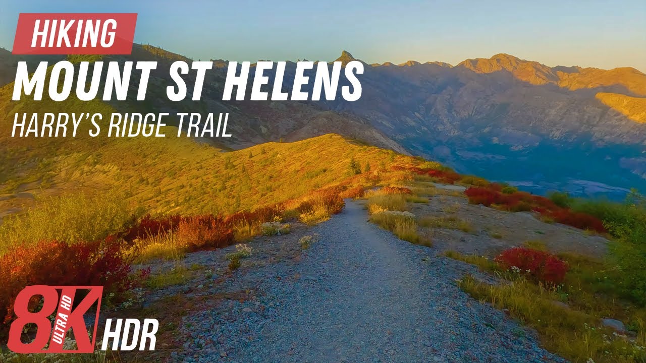 Scenic Hike at Mount St Helens for Indoor Walking - 8K HDR Active Volcano - Harry's Ridge Trail