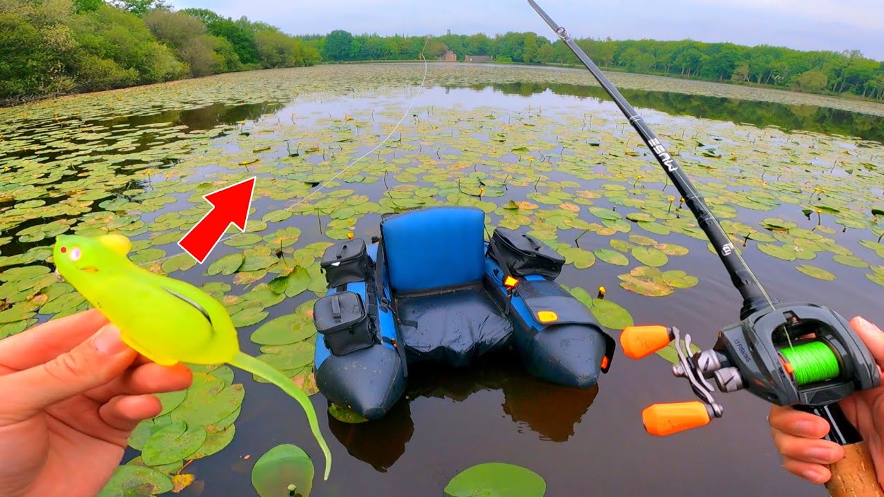 Des BROCHETS MONSTREUX se cachent dans cet étang sauvage ! ( Souris VS brochet )