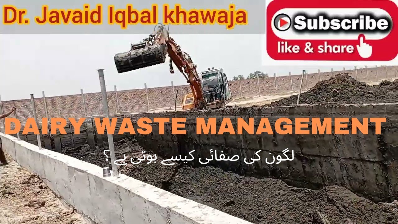 Dairy waste management | Lagoon cleaning | لگون کی صفائی کیسے ہوتی ہے ؟ @khawaja53