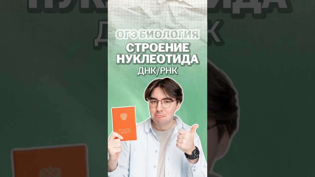 Строение нуклеотида ДНК и РНК #никитапавлов #биология #огэ