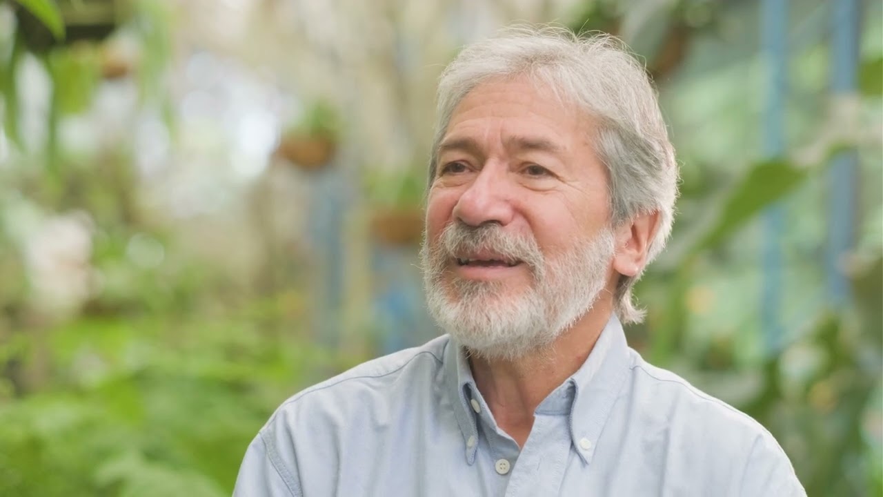 El origen del cacao es la Amazonía, Francisco Valdez - IRD