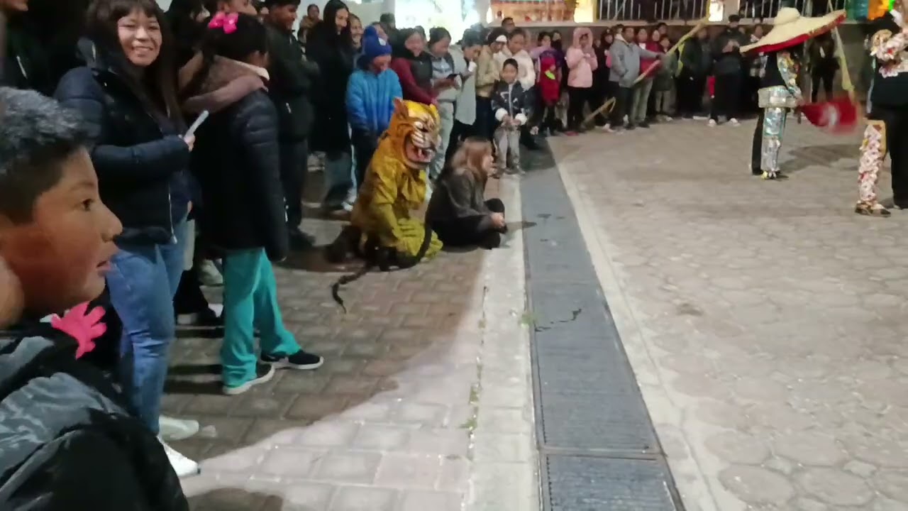 Danza de tecuanes papatiantzi Tepatlaxco 