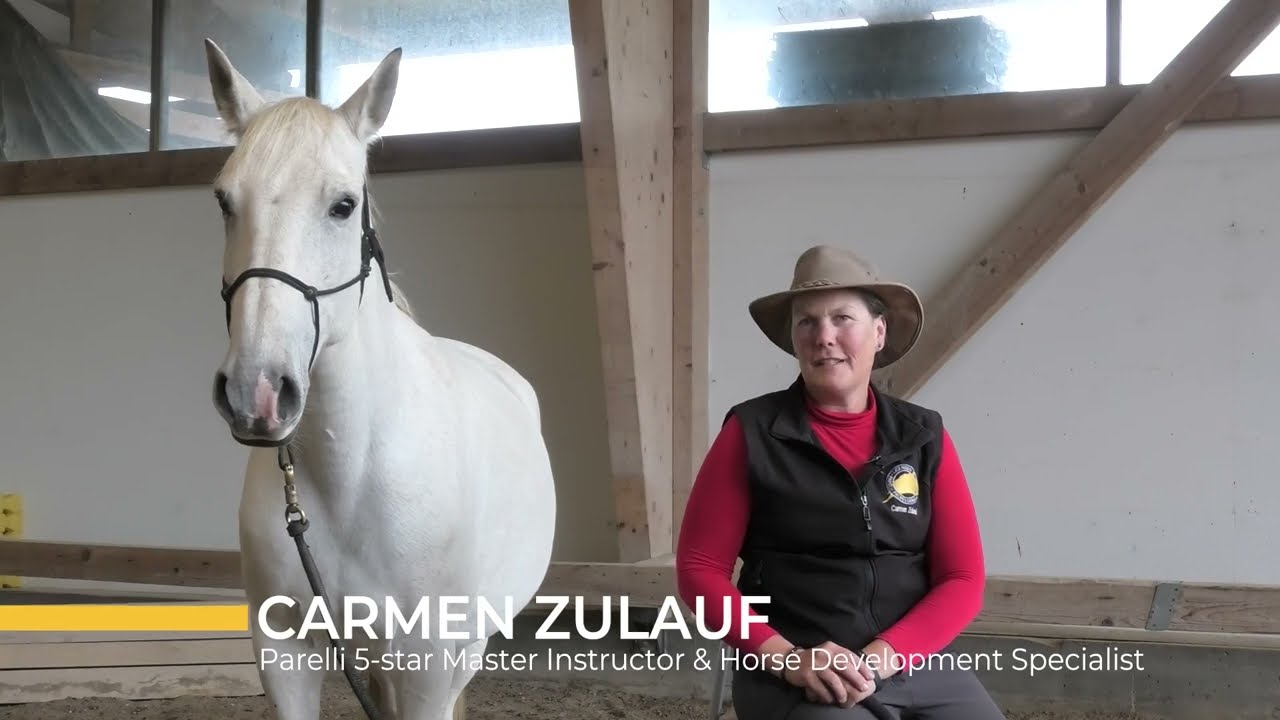 Nouveau! Parelli en ligne en Français avec Carmen Zulauf 5-Star Licensed Parelli Professional