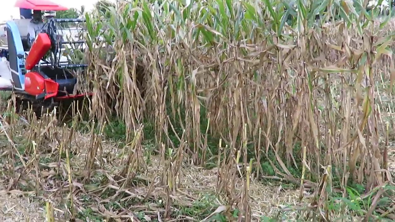 Combined Harvester DC70 Corn Kit CK70