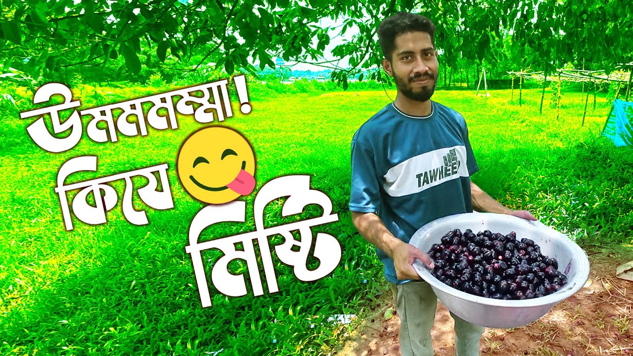 😋 উমমমমম্মা কিযে মিষ্টি  | 🖤 কালো কালো জাম  | 🌳 প্রকৃতির মাঝে একদিন | শান্তি, সবুজ আর ভালোবাসা