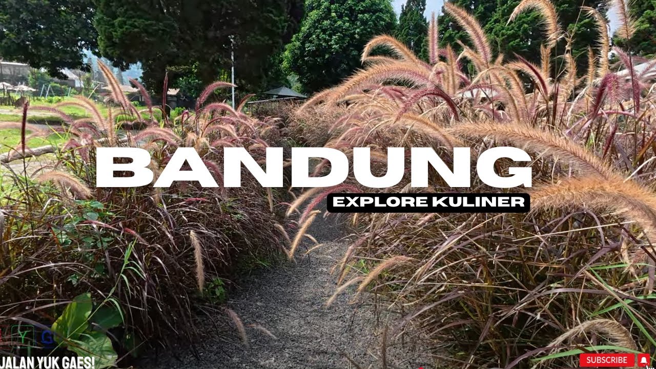 WEEKEND DI BANDUNG | AYAM SARI RASA | STROBILUS CAFE | AYAM KAMPUNG CEMARA | KANTIN CAB | BUBUR DPR