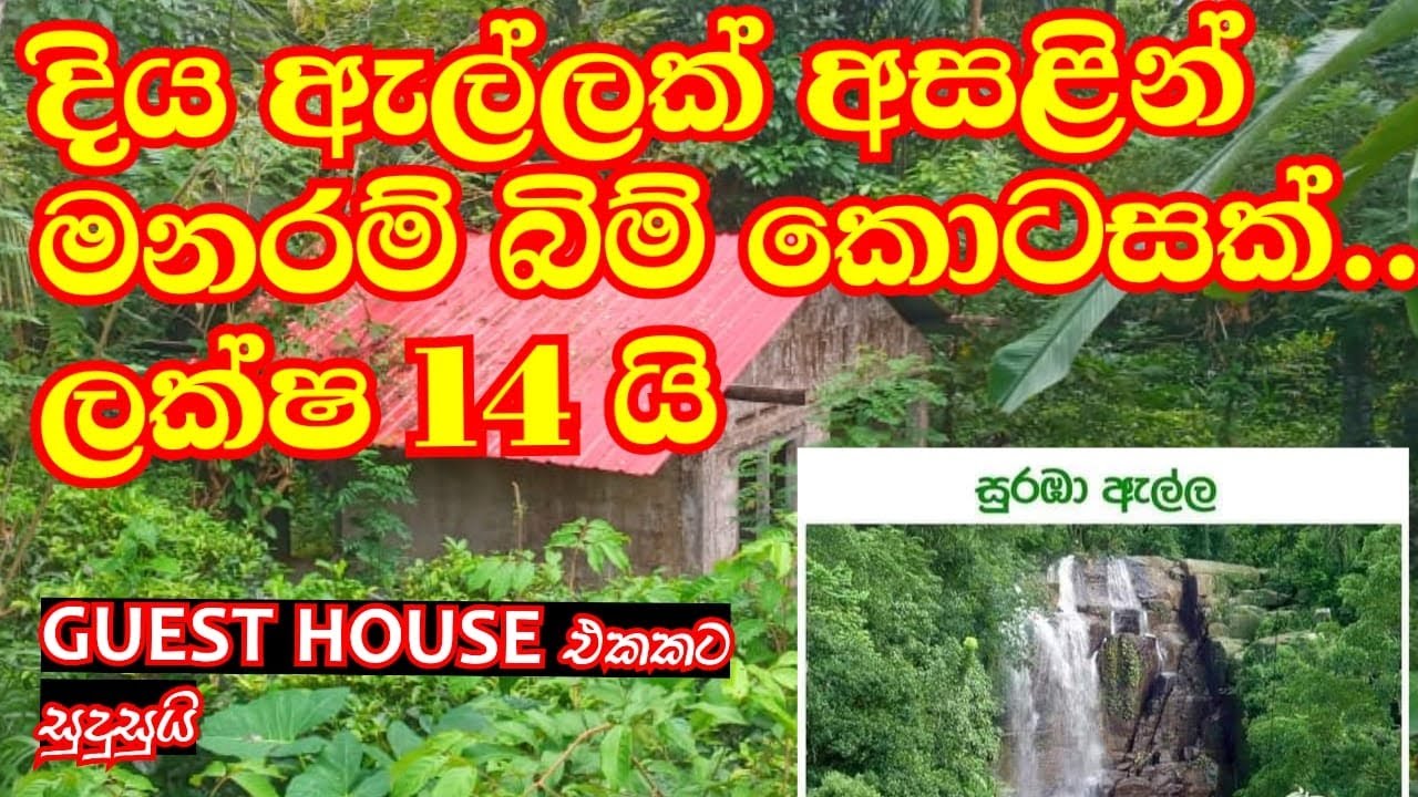 Lande for Sale In Bulathkohupitiya /Near to suraba waterfall /Best Selling Land/ Kegalle land