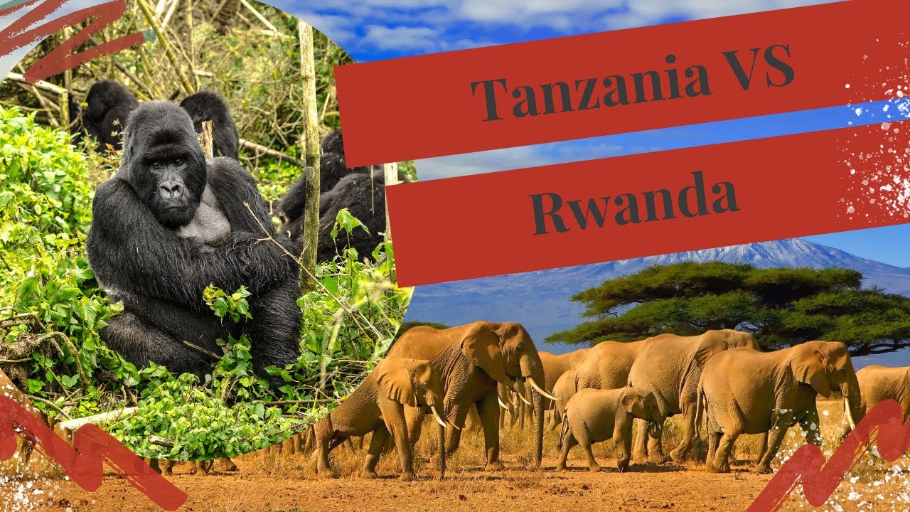 Choose your own adventure: TANZANIA vs RWANDA