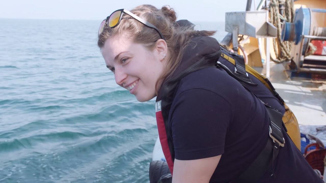 The Fisheries Observer