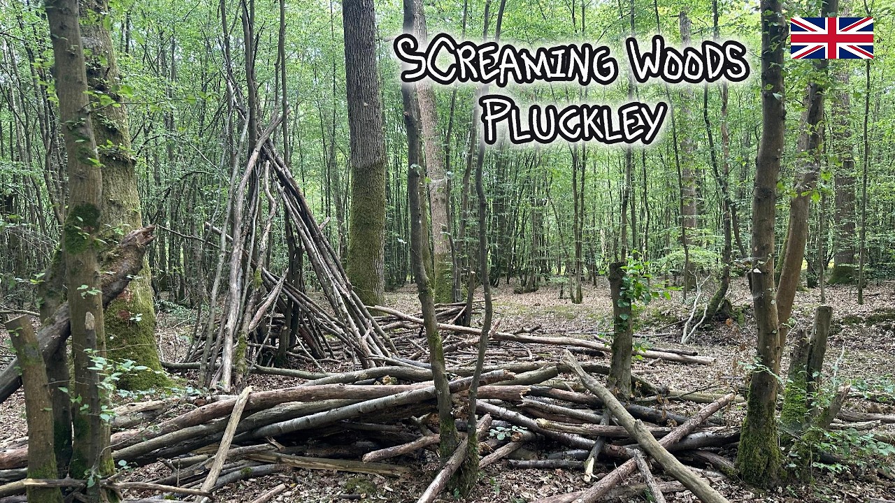 Haunted Dering Woods, also known as Screaming woods Pluckley