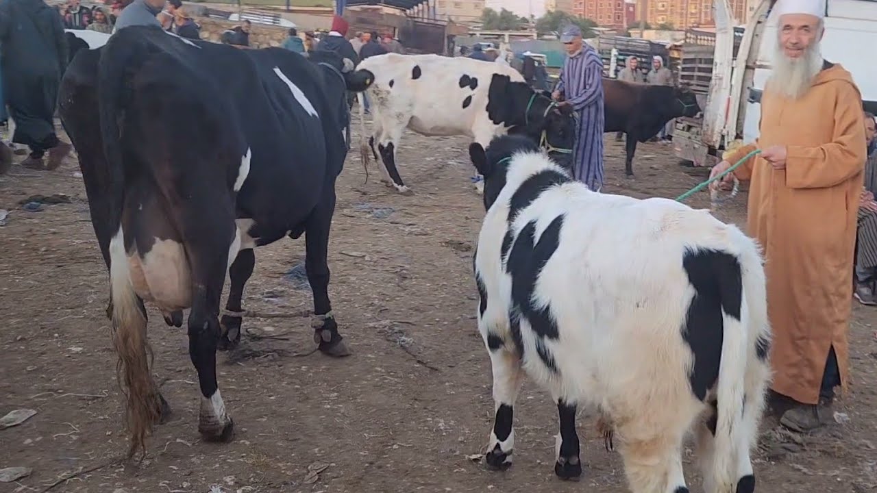 🇲🇦خيرات موجودة في سوق الأسبوعي تلات لولاد فيني نقدم لكم أتمنة بكرات اتاريخ تصوير 12/11/2024