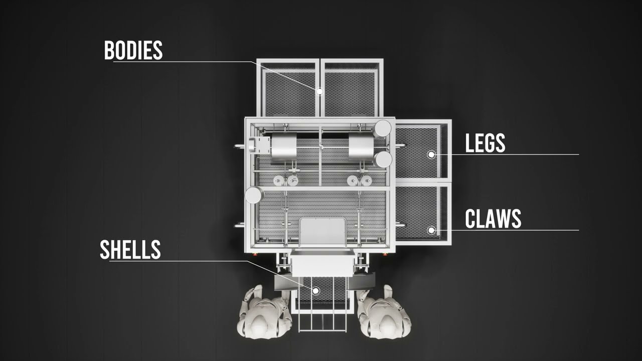 Crab Slaughter Machine produced by Arkos
