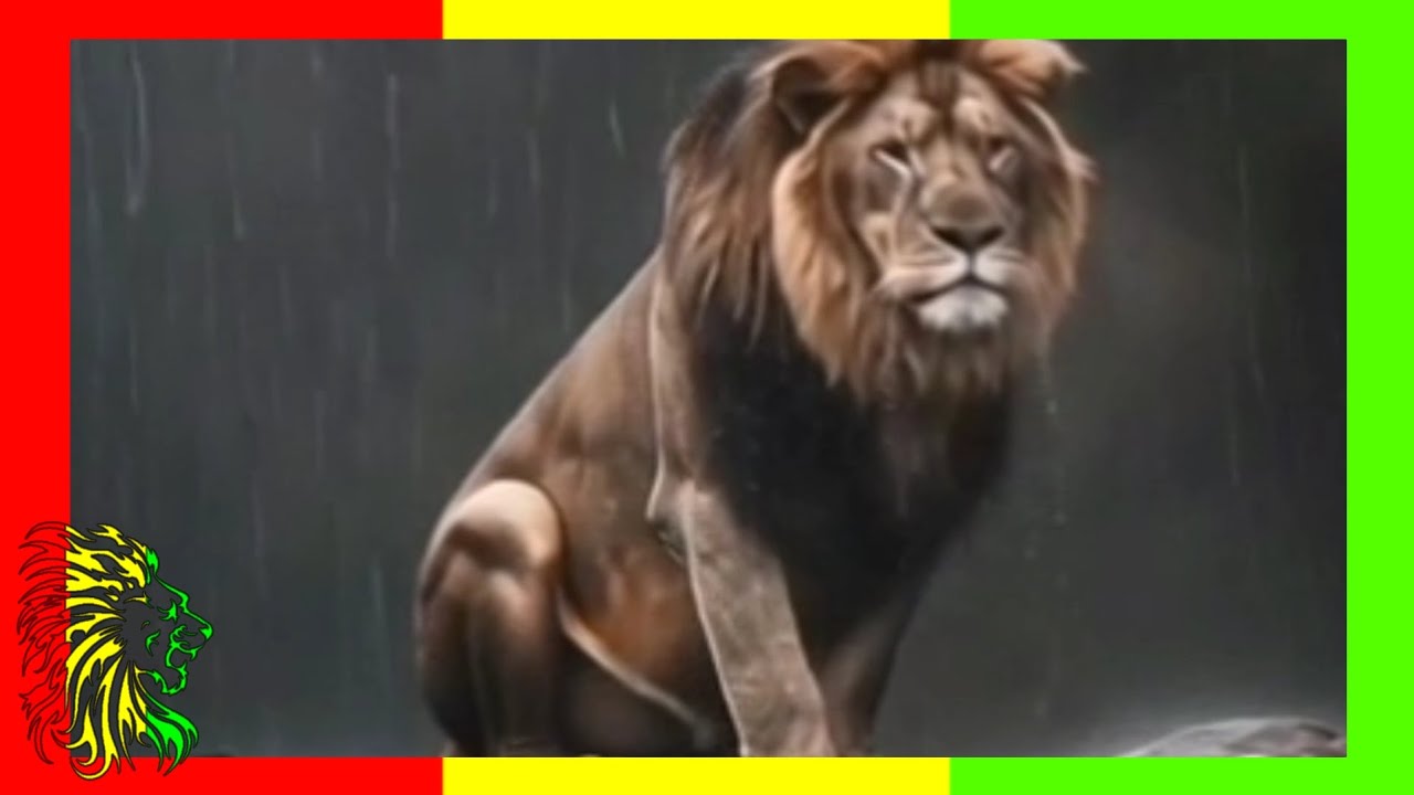 Supertramp - Don't Leave Me Now (Lion and Tiger Version)