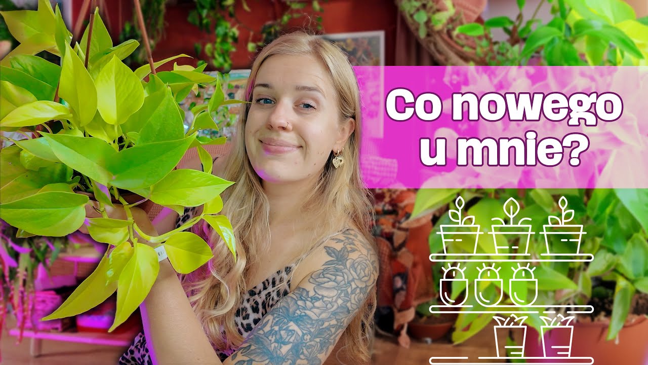 Nowe rośliny na rejonie • zmiany • puzzle 
