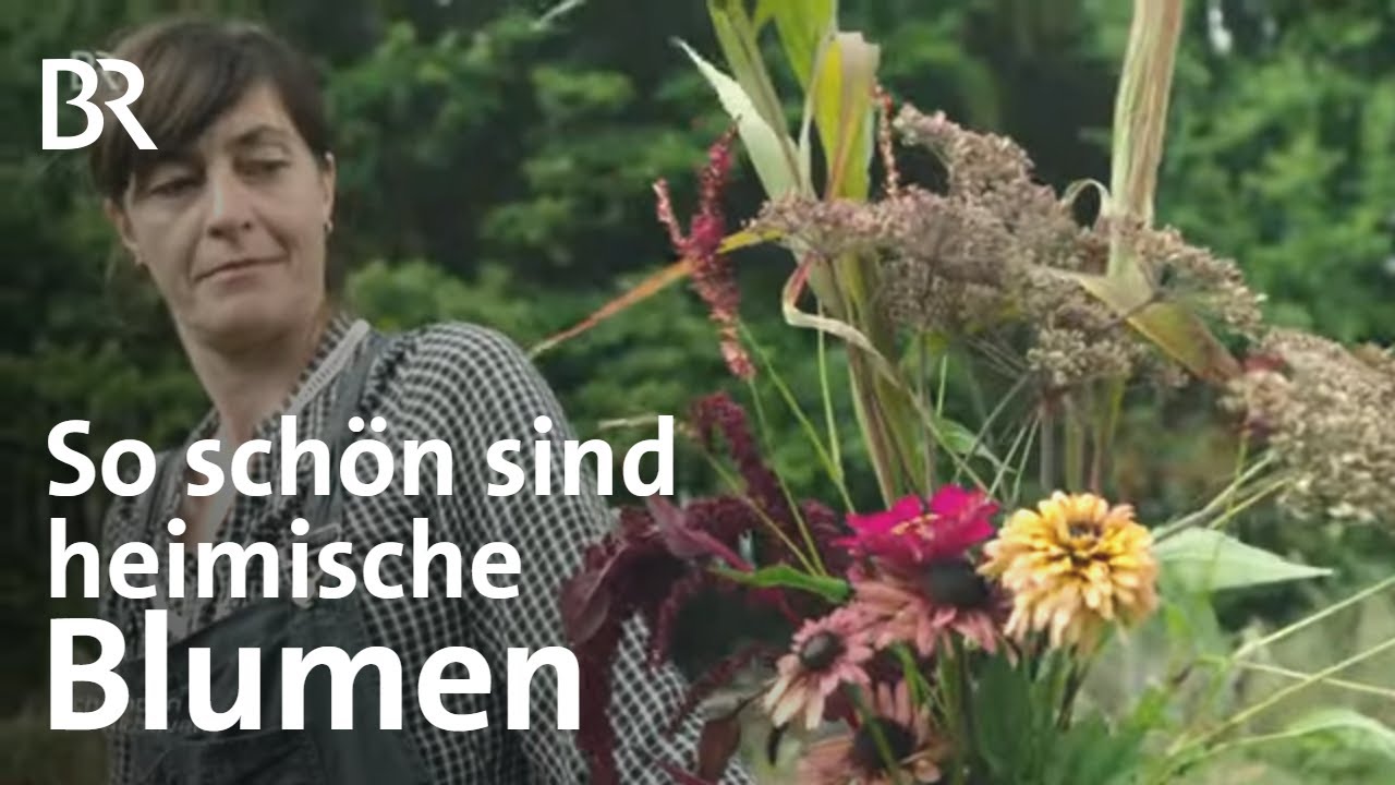 Regionale und heimische Blumensträuße: Blumenanbau in Bayern | Schwaben & Altbayern | BR