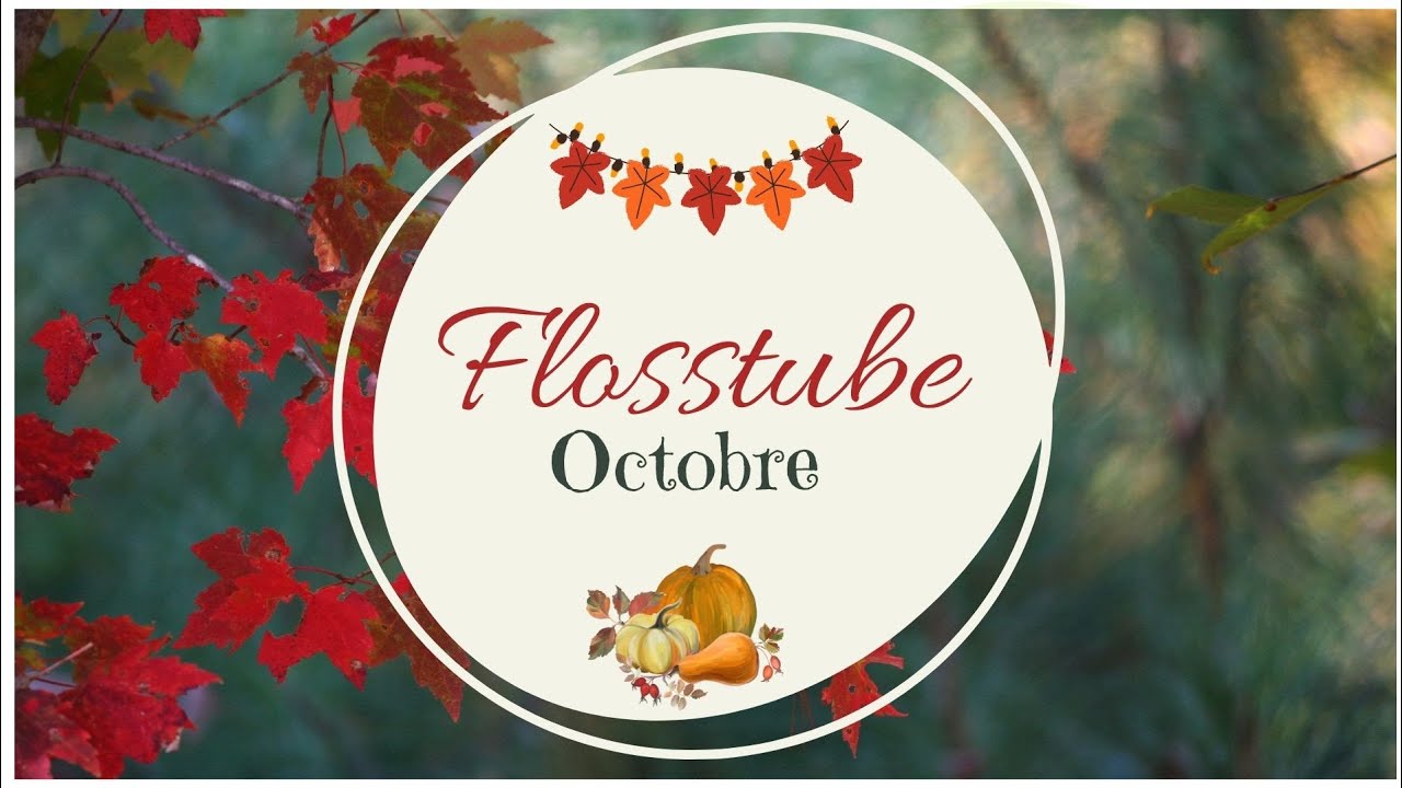 Flosstube Octobre 🎃#pointdecroix #broderie #flosstube