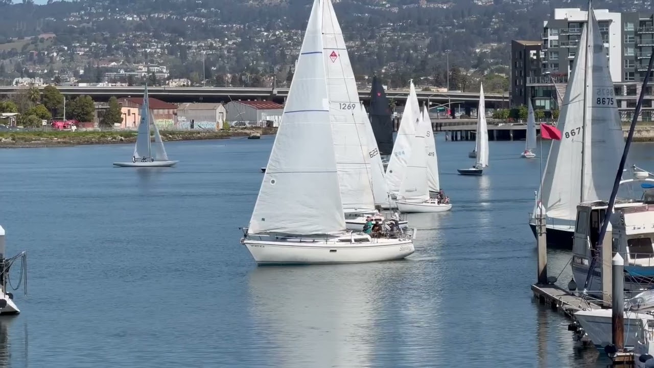 OYC 3-15-26 Brunch Race - Fleet A start (Non-spinnaker)