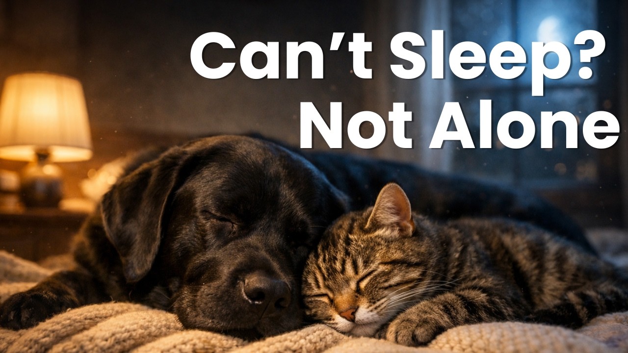 Sleep in 5 Minutes 🌙 Deep Calm Piano for Fast & Peaceful Sleep (8 Hours)