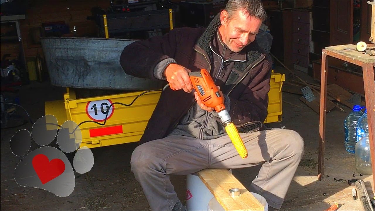 Corn harvesting and husking in Green homestead